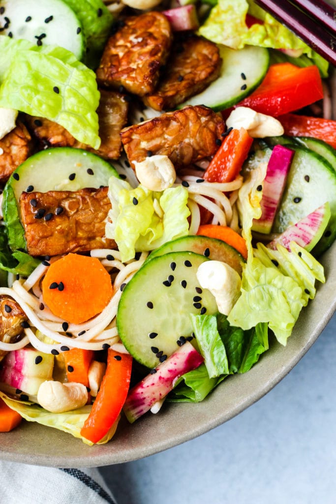 cold soba noodles salad with tempeh, lettuce, cucumbers, carrots, red peppers, and radishes in a brown bowl