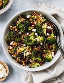 closeup shot of white bowl with roasted broccoli, farro, dried cranberries, and feta salad