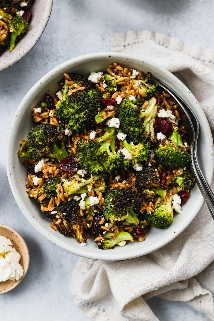 closeup shot of white bowl with roasted broccoli, farro, dried cranberries, and feta salad