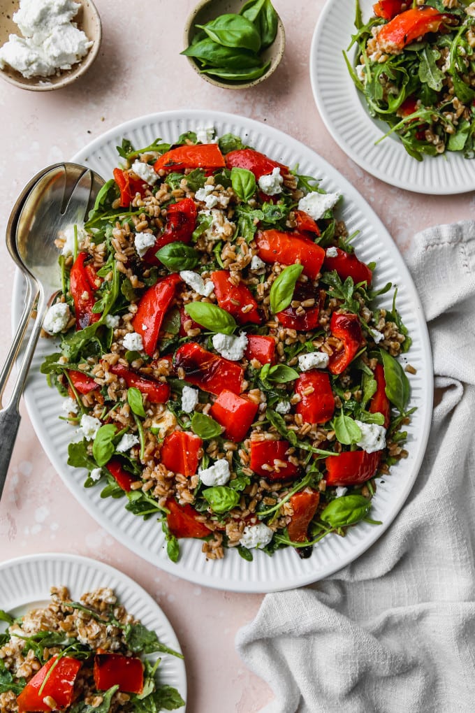 Overhead photo of a roasted red pepper salad with farro, arugula, goat cheese, and basil on a white serving plate.