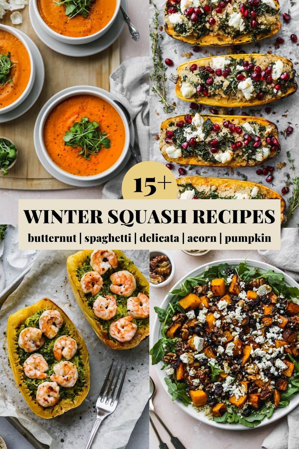15+ Easy Winter Soup Recipes for Dinner